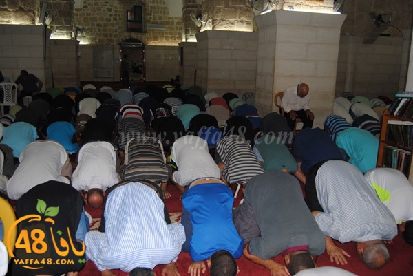 tararwee7 kaberej (29).JPG